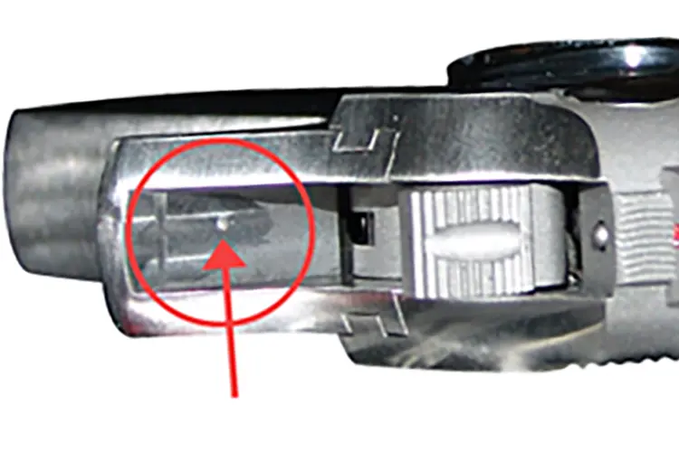 PPK PPK/S RECALL
