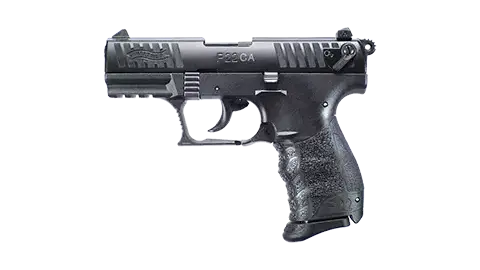 P22 3.42 in 10RD 22LR 0