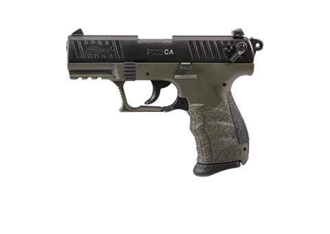 P22 3.42 in FDE 10RD 22LR 0