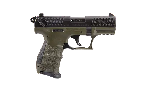 P22 3.42 in FDE 10RD 22LR