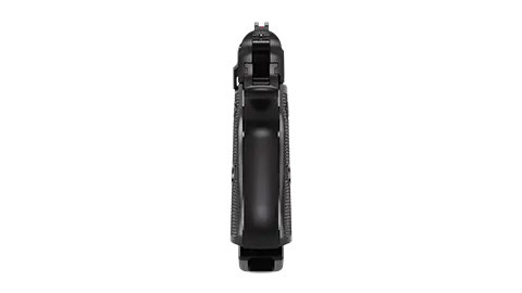 PP 3.9 in Black 8RD 32 ACP 1