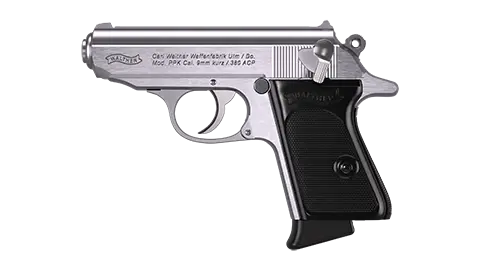 PPK 3.3 in Stainless 6RD .380 ACP 3