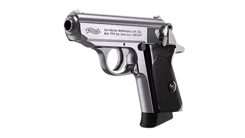 PPK 3.3 in Stainless 6RD .380 ACP 2