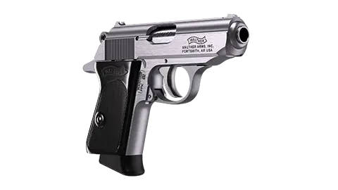 PPK 3.3 in Stainless 6RD .380 ACP 0