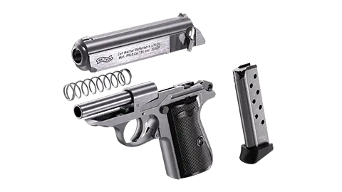 PPK/S 3.3 in Stainless 8RD 32 ACP 5