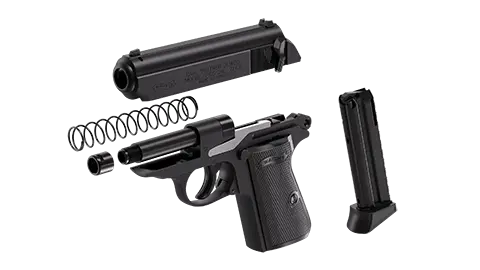 PPK/S 3.3 in 10RD 22LR 5