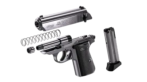 PPK/S 3.3 in Two Tone 10RD 22LR 5