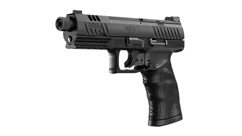 WMP 4.9 in 22WMR 0
